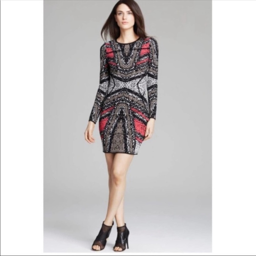 Diane Von Frustenberg Kenya Body con Long Sleeve Dress